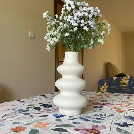 Planinska Kuca Maksimovic Bajina Basta