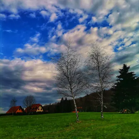 Planinska Kuca Maksimovic Prázdninový dům *