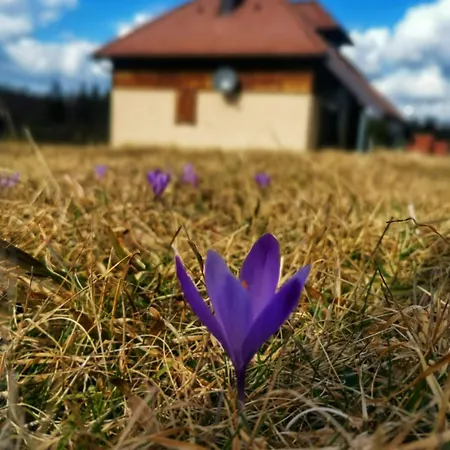 Planinska Kuca Maksimovic Prázdninový dům *