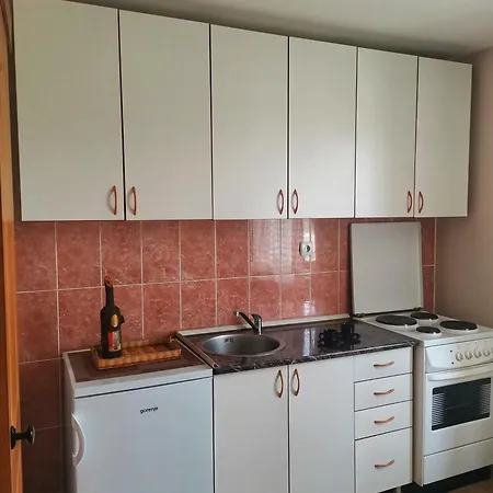 Prázdninový dům Planinska Kuca Maksimovic